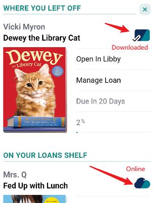 How to Download Libby Books Offline: A Comprehensive Guide with Q&A